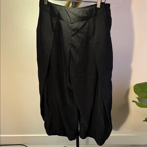 Elegant Black Pleated Pants